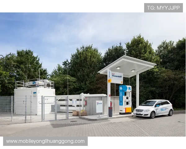 永利304官方入口最新入口地址，提供稳定可靠的登录通道确保顺畅体验