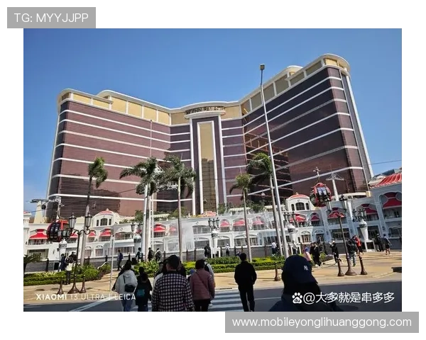 永利皇宫背后的集团公司及其在行业中的地位和影响力