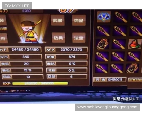 回力海立方游戏角色养成策略全面解析提升你的战斗力与竞技水平