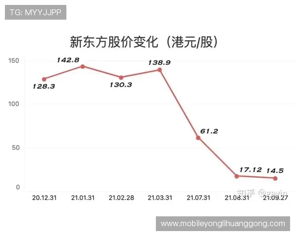 新东方置地：探索未来网络游戏行业创新发展与市场扩展的关键路径