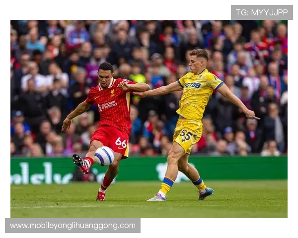 水晶宫足球队队员官网提供的球员访谈与幕后故事深度解读