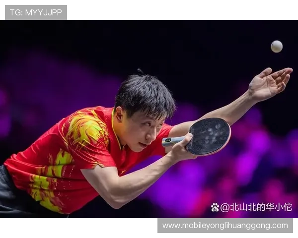 深入解读澳门马龙最新比赛消息，揭示比赛背后精彩故事与选手成长轨迹