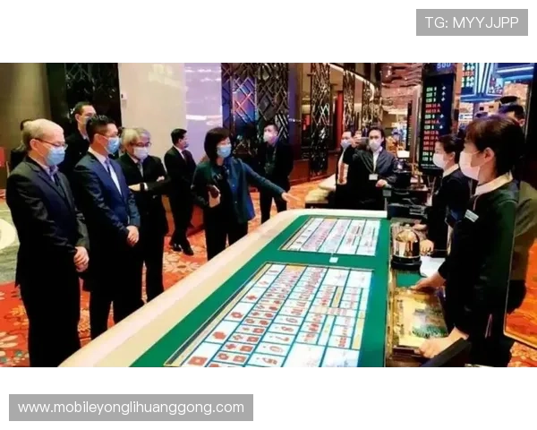 澳门十大赌场的历史背景与发展现状，了解澳门博彩业的辉煌与未来趋势