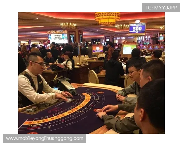 澳门合法运营的赌场牌照总数及其背后的监管政策和行业影响