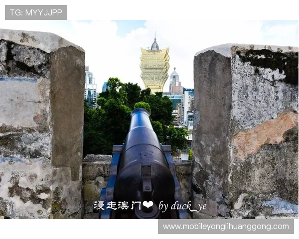 澳门新濠天地真人娱乐体验全攻略，带你领略最真实的线上真人游戏乐趣