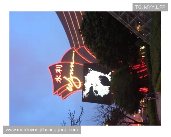 澳门永利网址安全保障措施，保障玩家资金与信息安全