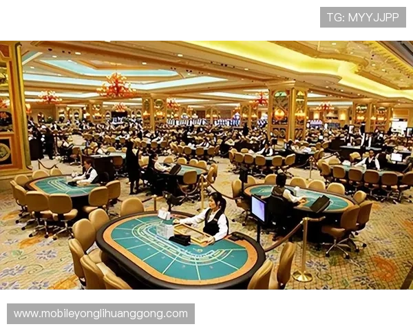 澳门豪赌：豪门富豪在赌桌上的奢华生活全纪录