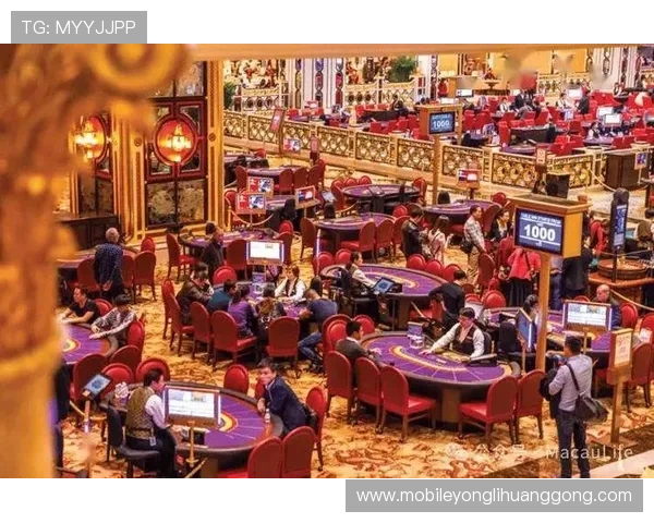 澳门贵宾厅赌场平台全面介绍，提供专业的游戏指导与优质的客户服务