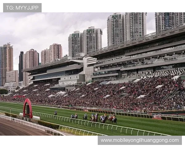 关于hkjc的全面介绍与最新动态，帮助用户了解香港赛马会的历史与发展