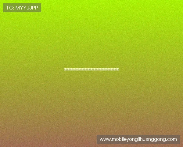 永利皇宫官网页版安全保障措施，确保用户个人信息和资金安全的详细介绍与建议