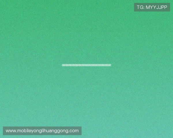 澳门永利数字站官网网址更新及安全登录攻略，保障您的账户安全与游戏体验